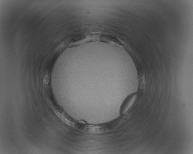 X0000080660472200701121611