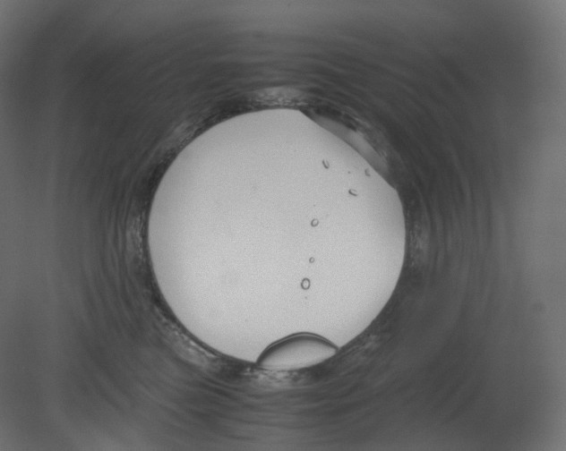 X0000080660473200701121611