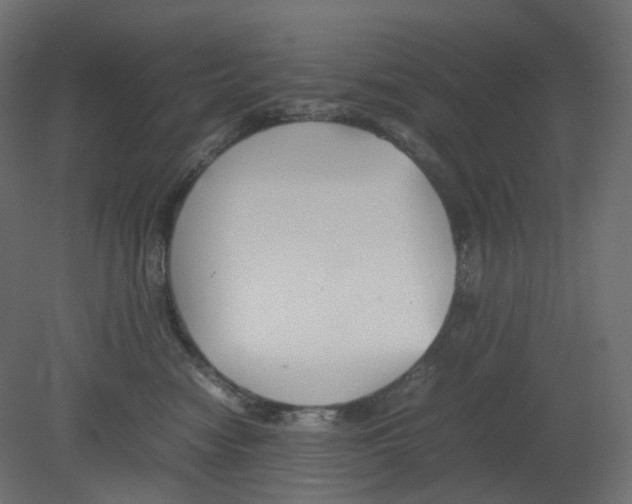 X0000080660474200701121611