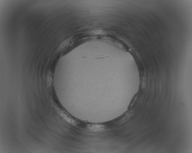 X0000080660476200701121611