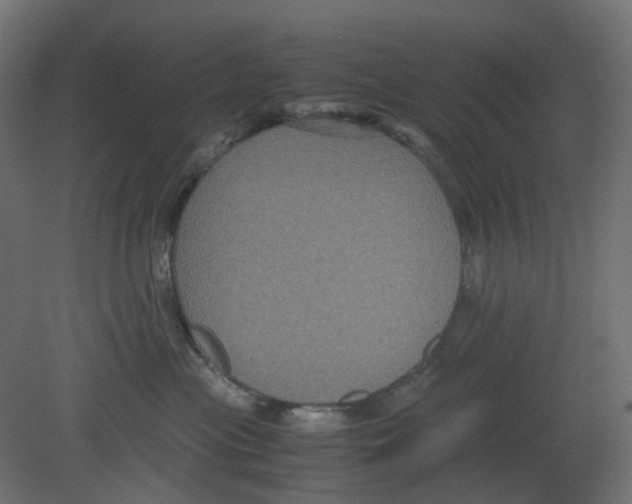 X0000080660477200701121611