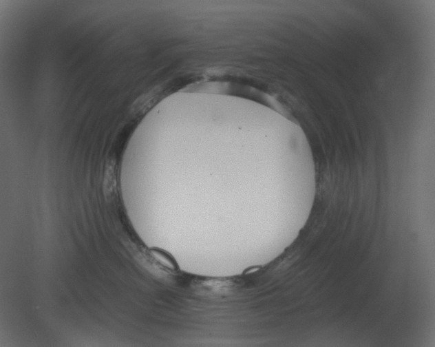 X0000080660478200701121611