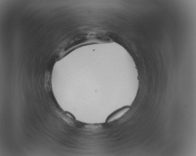 X0000080660480200701121611