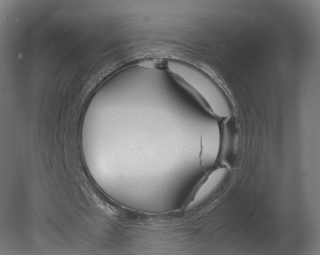 X0000080660481200701121610