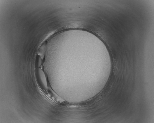 X0000080660482200701121610