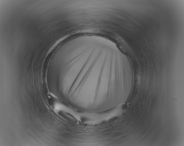 X0000080660484200701121610