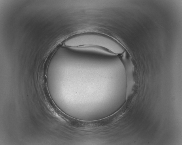 X0000080660485200701121610