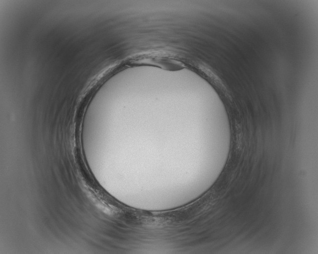 X0000080660486200701121610