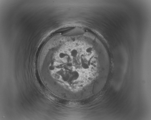 X0000080660487200701121610