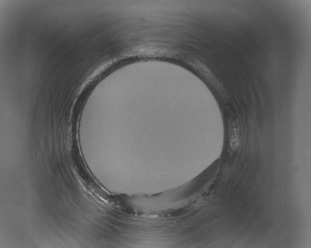 X0000080660488200701121610