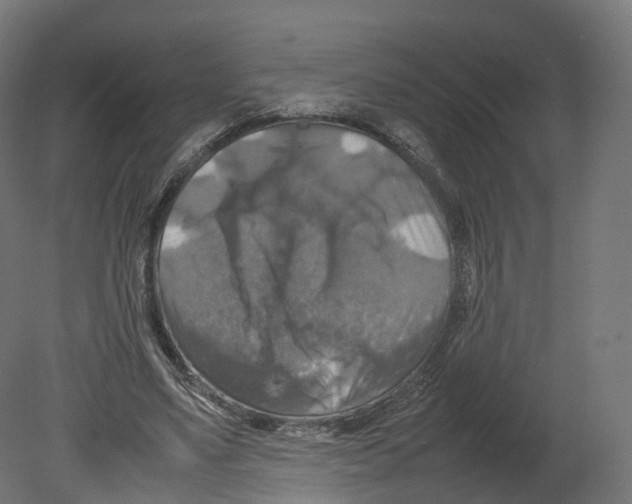 X0000080660491200701121610