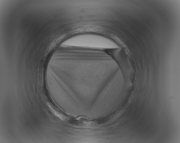 X0000080660493200701121610