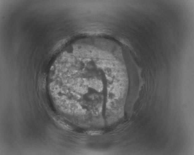 X0000080660495200701121610