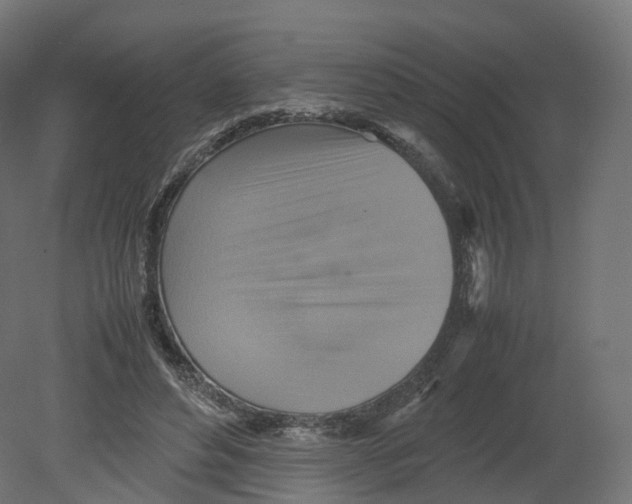 X0000080660496200701121610