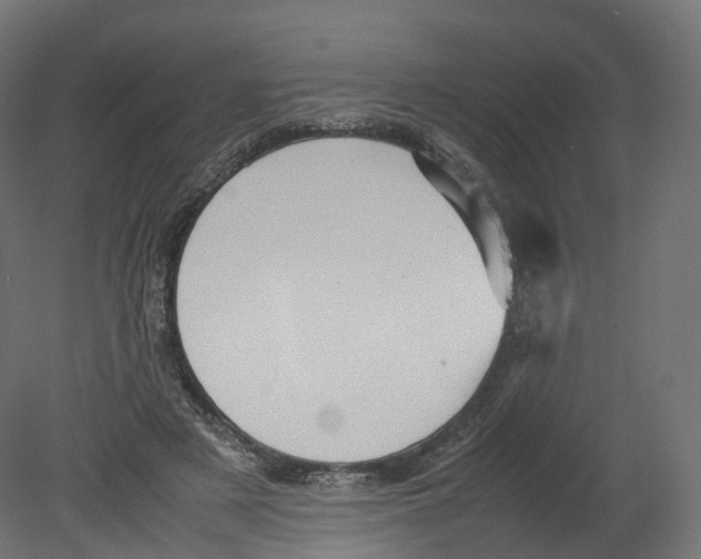 X0000080660497200701121610