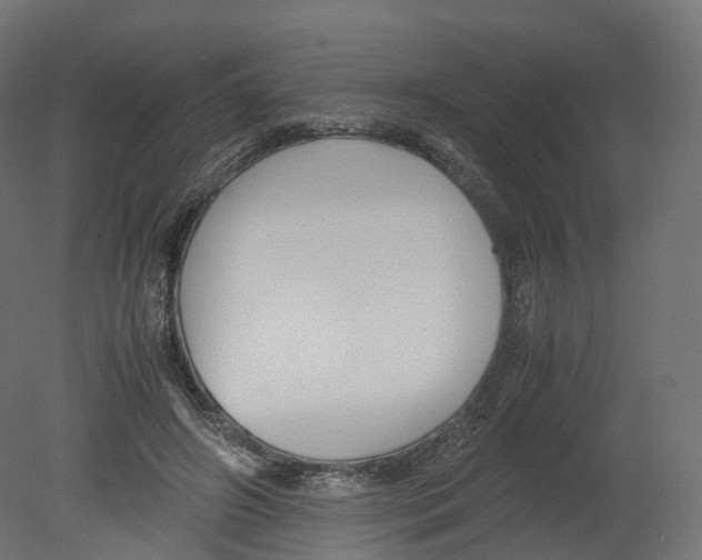 X0000080660498200701121610