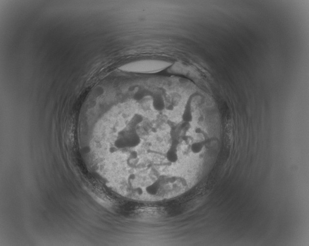 X0000080660499200701121610