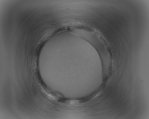 X0000080660501200701121610