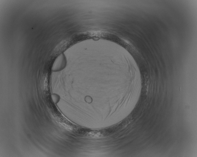 X0000080660502200701121610