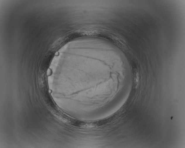 X0000080660503200701121610