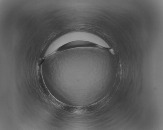 X0000080660504200701121610