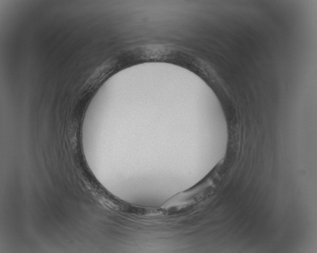 X0000080660505200701121610