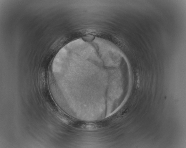 X0000080660506200701121610