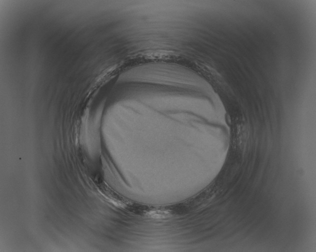 X0000080660508200701121610