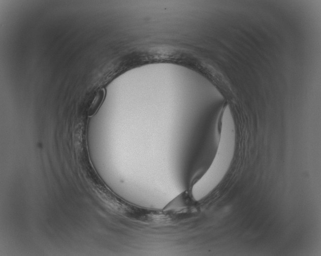 X0000080660509200701121610