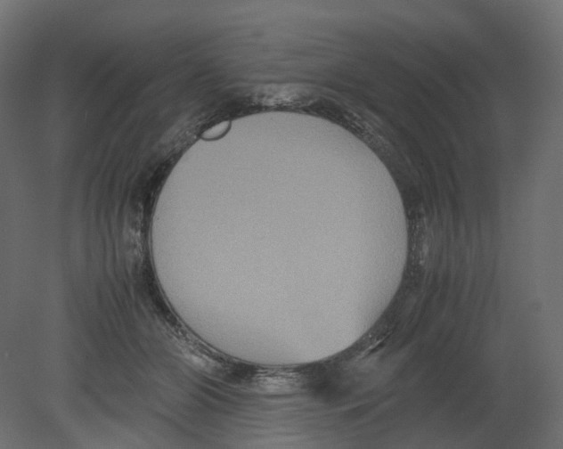 X0000080660510200701121610