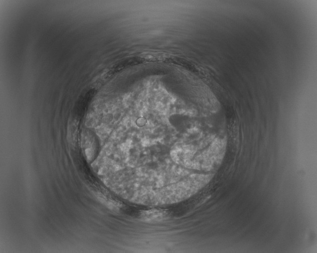 X0000080660511200701121610