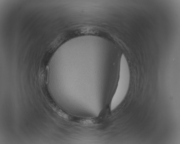 X0000080660513200701121610