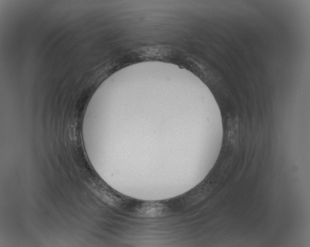 X0000080660514200701121610