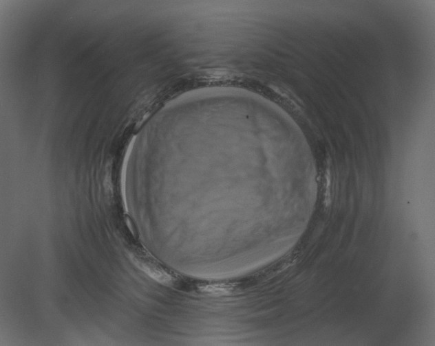 X0000080660516200701121610