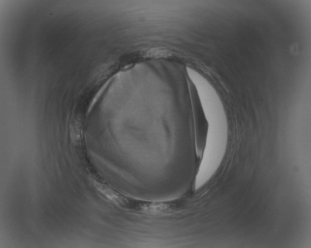 X0000080660517200701121610