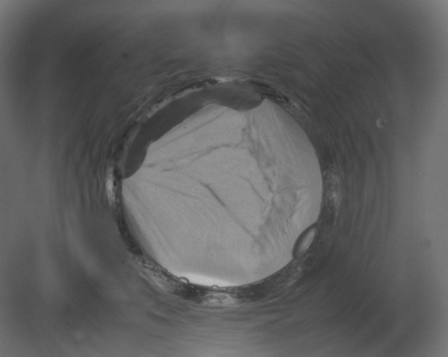 X0000080660519200701121610