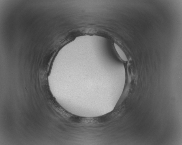 X0000080660521200701121610