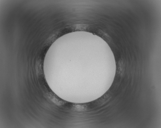 X0000080660522200701121610