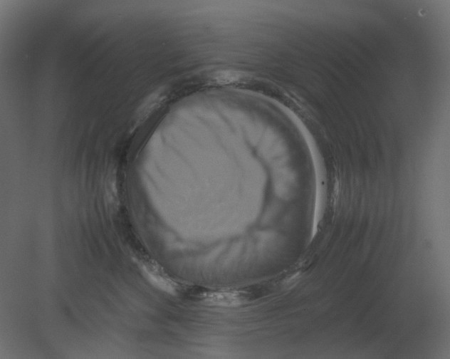 X0000080660524200701121610