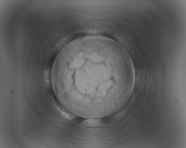 X0000080660526200701121610