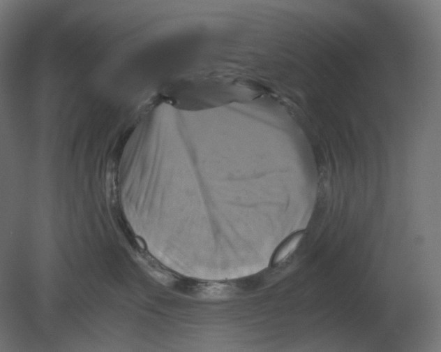 X0000080660527200701121609