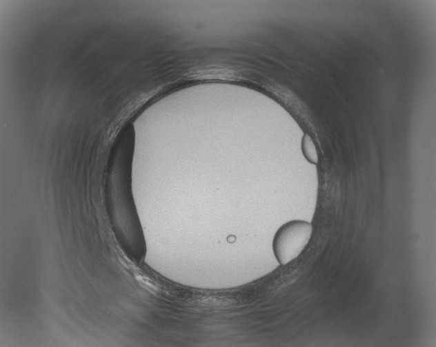 X0000080660529200701121609