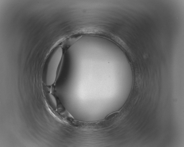 X0000080660530200701121609