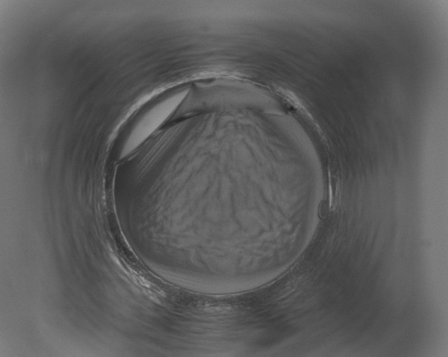 X0000080660531200701121609