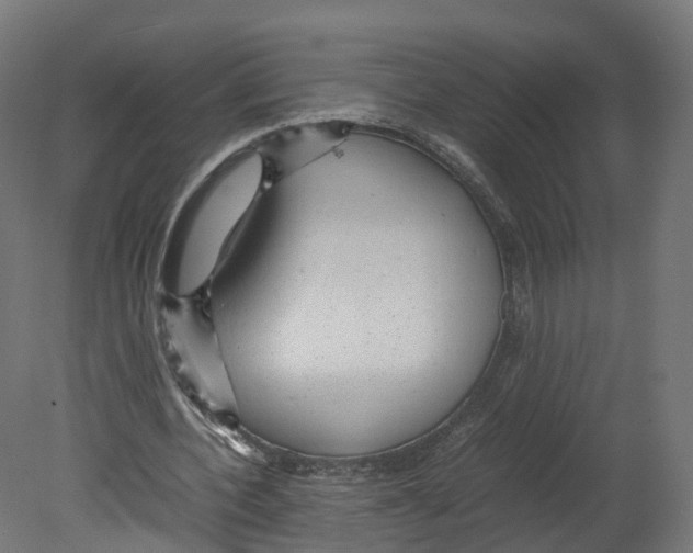 X0000080660532200701121609