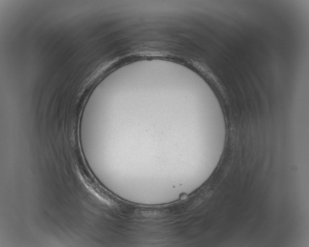 X0000080660533200701121609