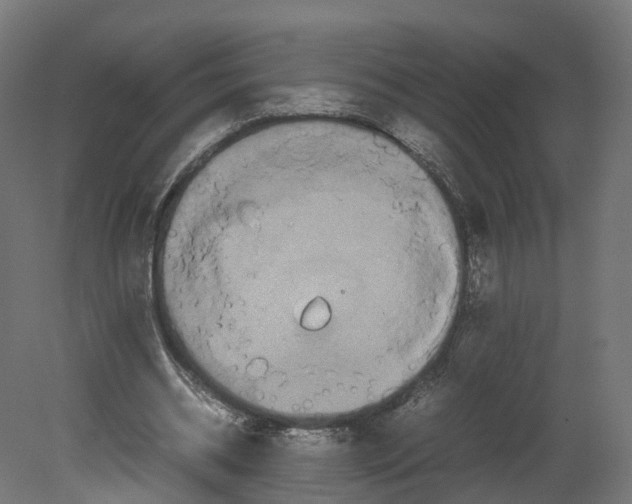 X0000080660534200701121609