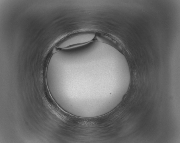 X0000080660535200701121609