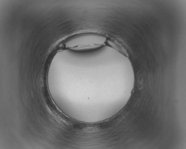 X0000080660536200701121609