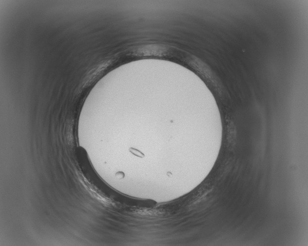 X0000080660537200701121609